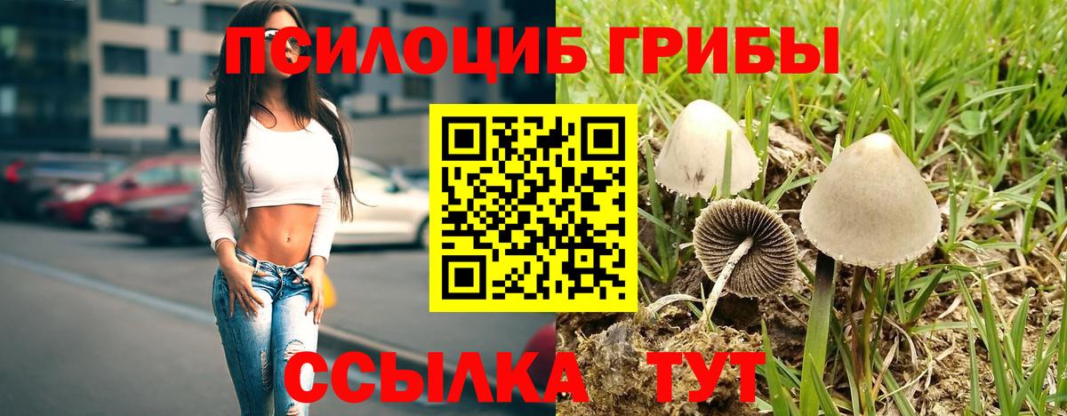 Псилоцибиновые грибы Psilocybine cubensis  Вход с VPN  Псилоцибиновые грибы ЛСД  Ирбит 